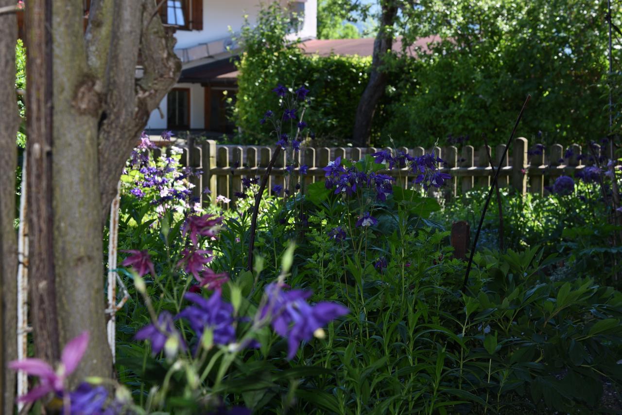 Theresenhof Reit im Winkl Esterno foto