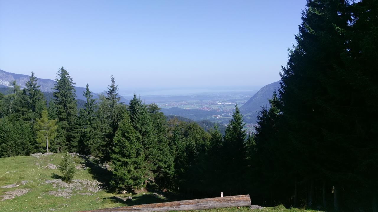 Theresenhof Reit im Winkl Esterno foto